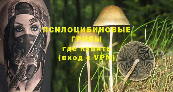 эйфоретик Аркадак
