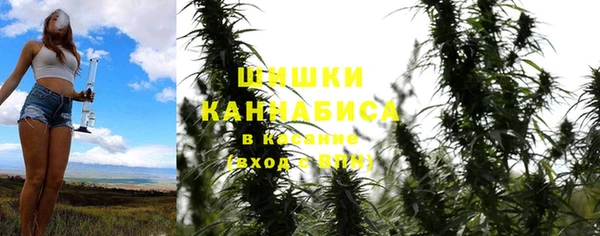 эйфоретик Аркадак
