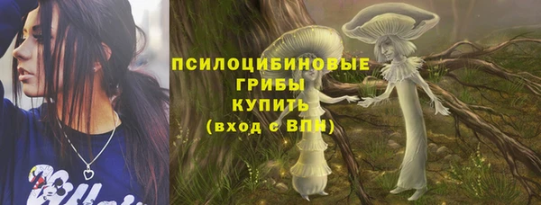 эйфоретик Аркадак